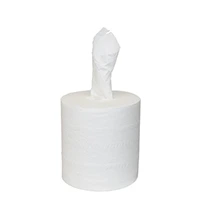 2-Ply Center Pull Paper Towels