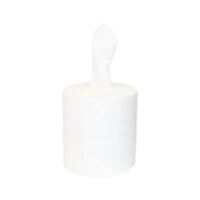 Center Pull Paper Towel