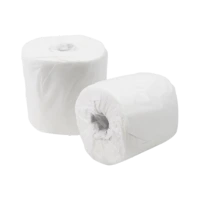 Toilet Paper